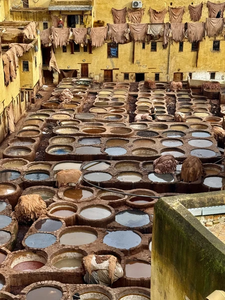 Нам очень понравилась экскурсия. Алина прекрасно спланировала для нас маршрут, показав весь марокканский колорит, историческое наследие