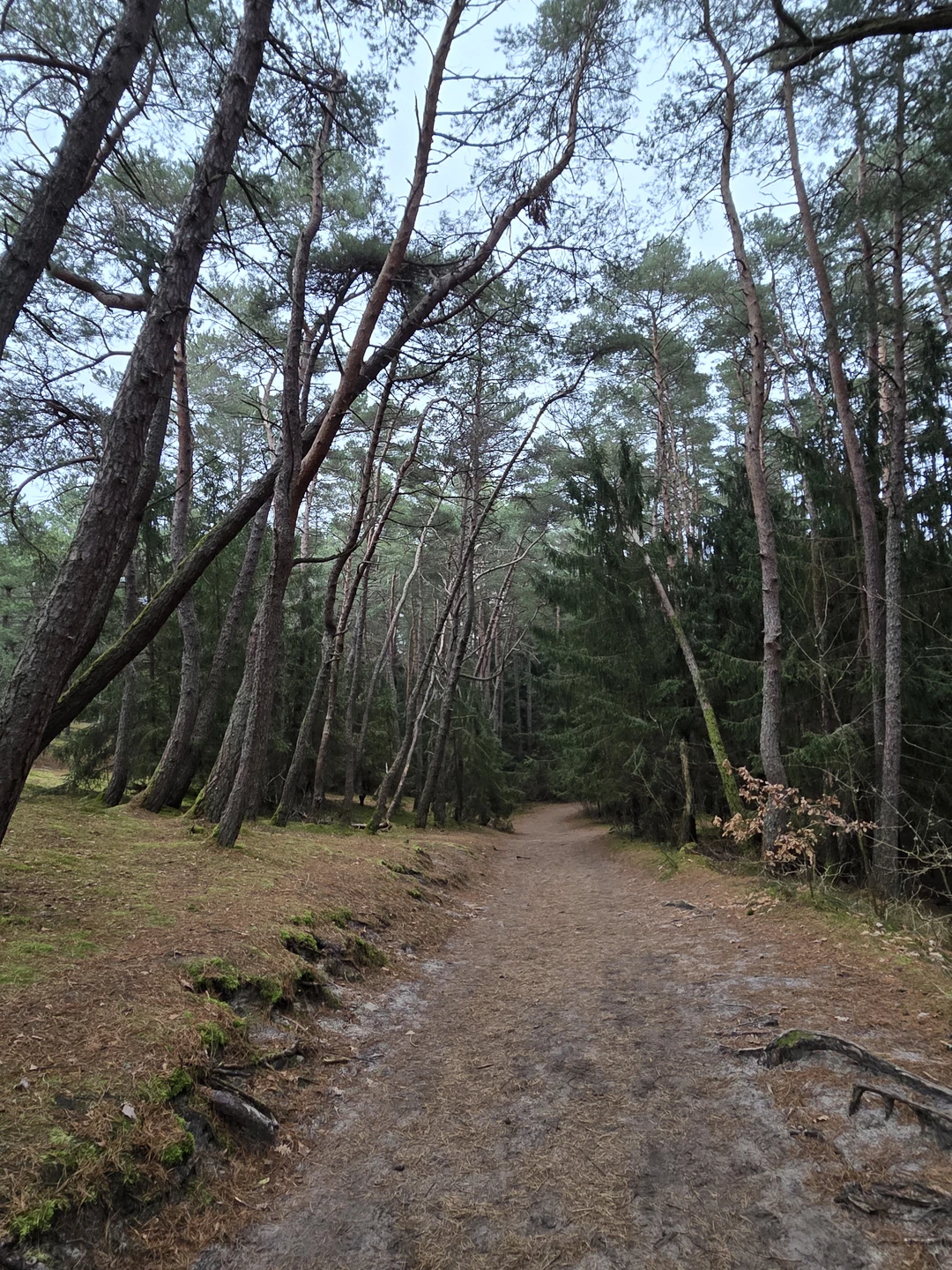 Поездка очень понравилась, прекрасная подача материала. Елена рассказала и о формировании косы, и о народах, населявших