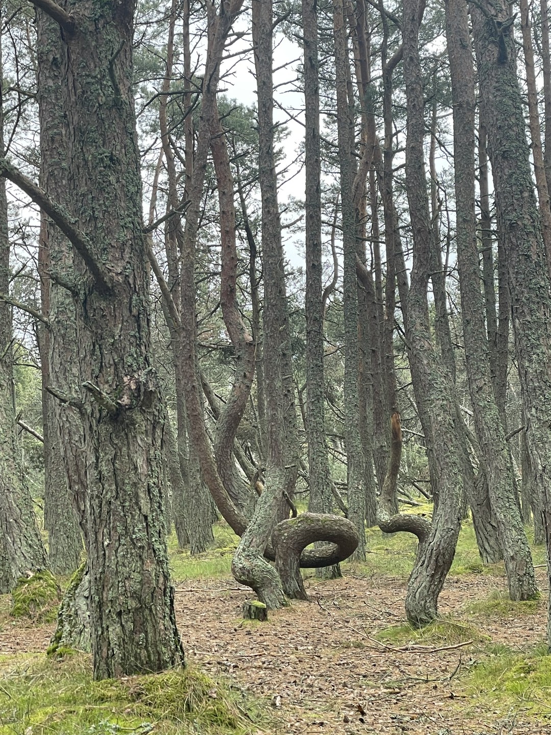 Самое-самое на Куршской косе (Наталья)
