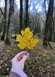 Фото отзыва 1: экскурсия "Природные жемчужины Сочи"