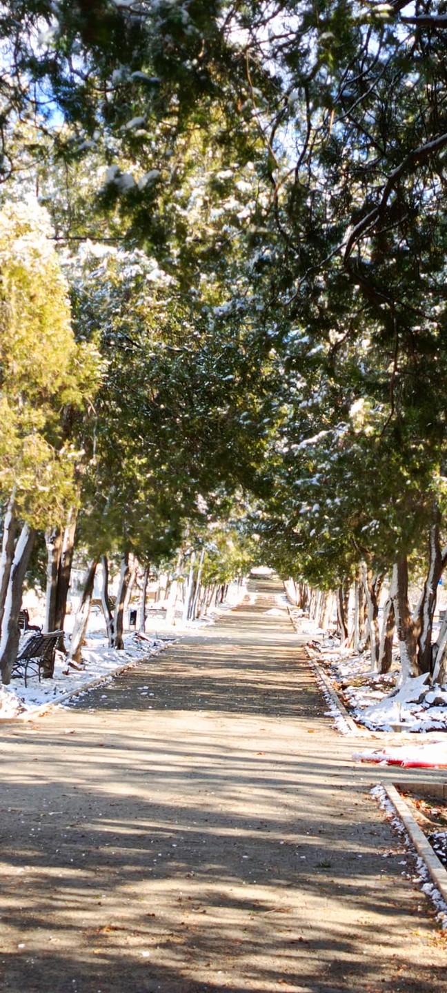 Пятигорск: дома и судьбы (Лариса)