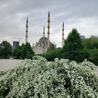 reviews img