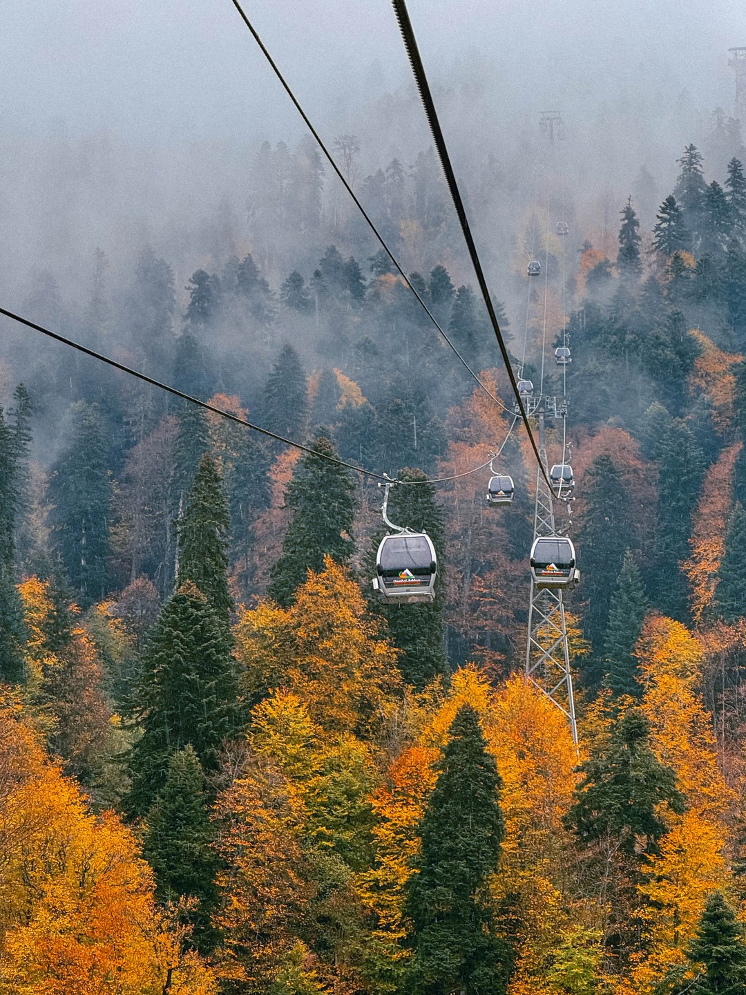 Ездили в Домбай с гидом Павлом на минивэне, все прошло замечательно: застали невероятно красивую осень в