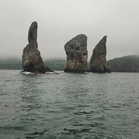 reviews img