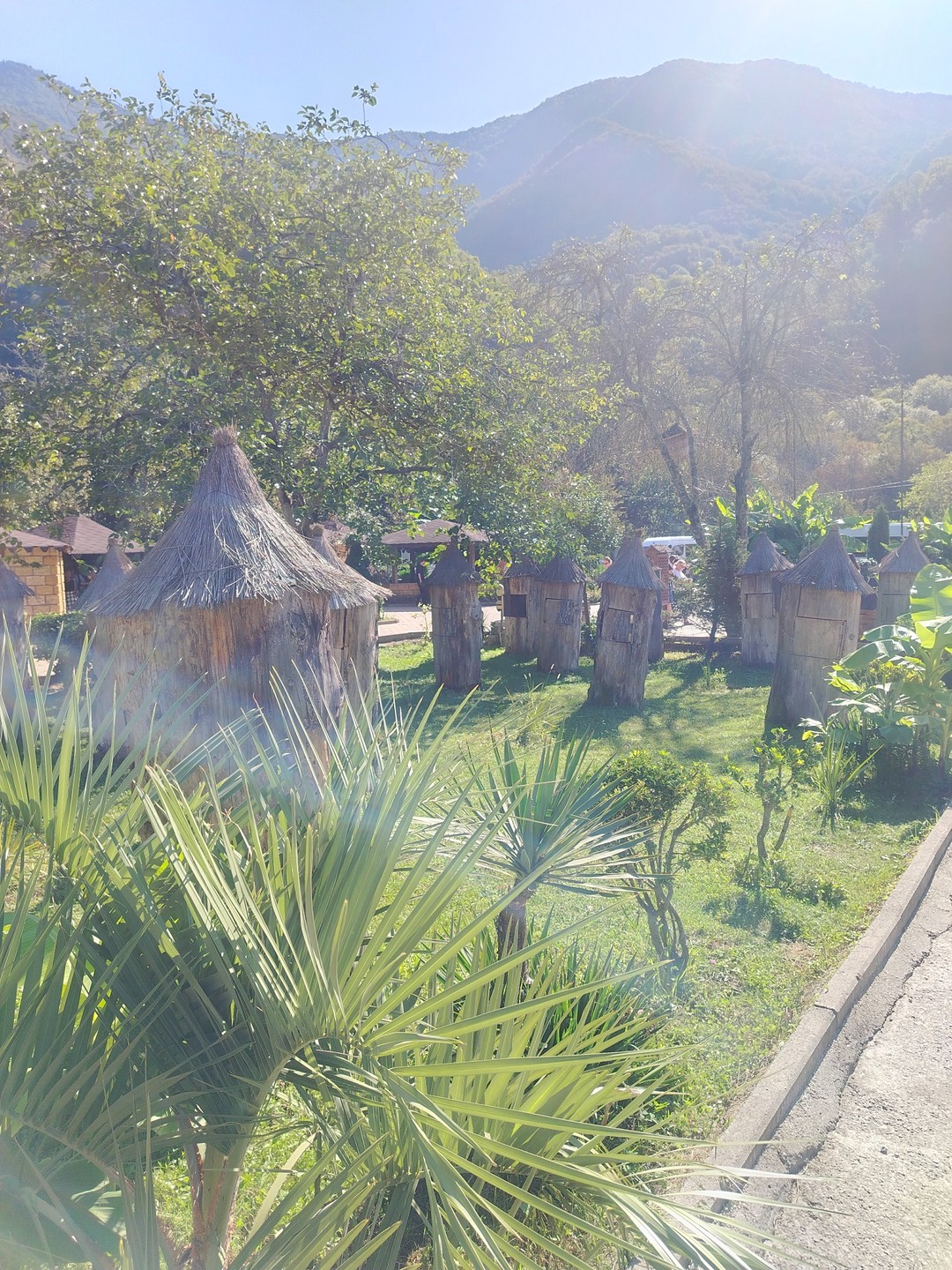 Очень понравилась поездка на озеро Рица. Наш водитель и экскурсовод Даниэль, рассказал нам много из истории