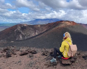 Толбачинские вулканы, Мёртвый лес