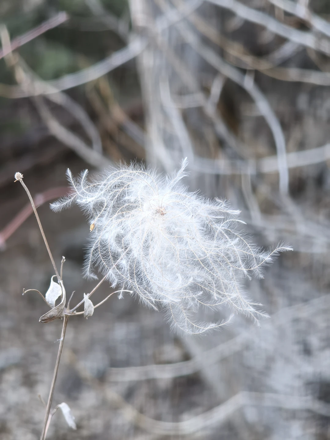 Водитель - Ореке