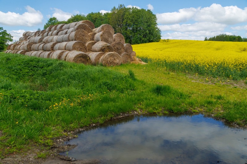 Велопрогулка вдоль границы с Польшей и экскурсия по Черняховску