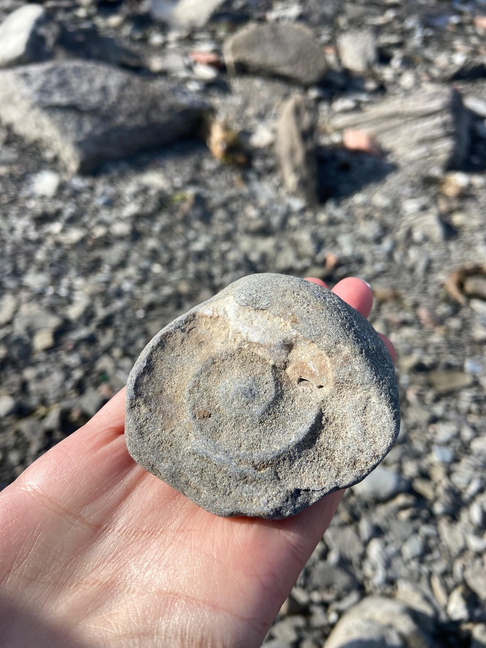 Остров Русский и бухта Стеклянная (8/16)