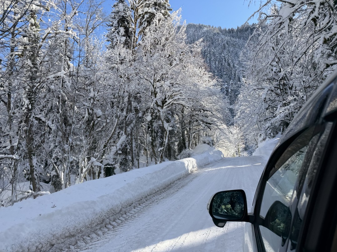 Индивидуальная поездка из Сочи «Такая разная Абхазия» (Елена)