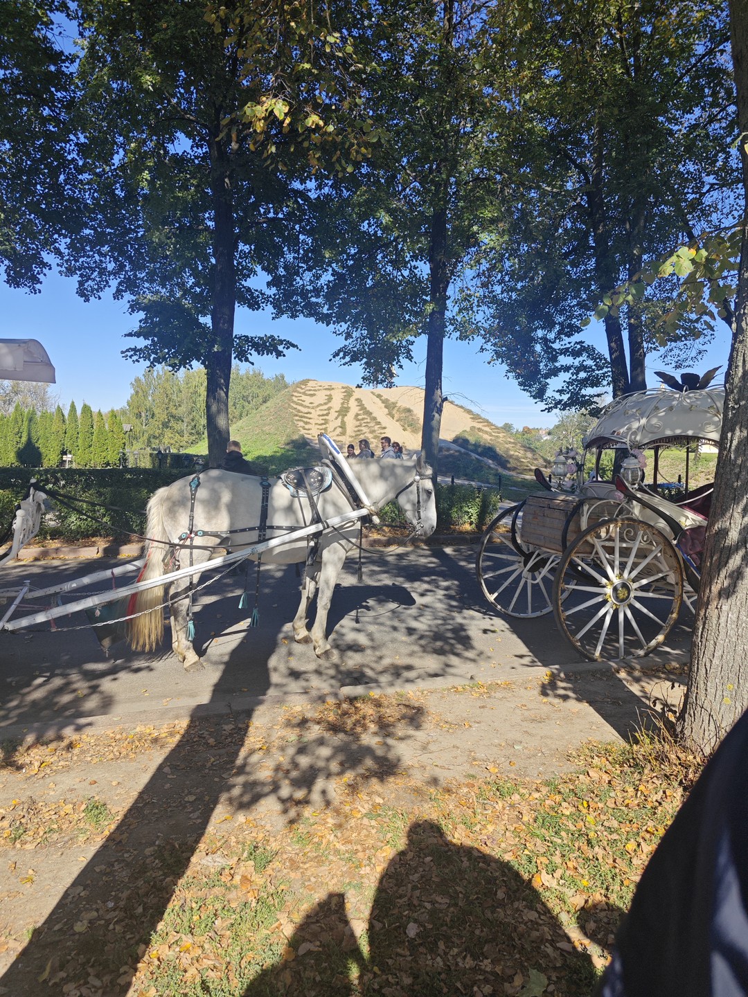 Великий Суздаль - легко, познавательно и с юмором (Мария)