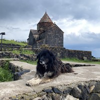 Фото отзыва 2: экскурсия "Горные курорты Дилижан, Цахкадзор и озеро Севан за один день"