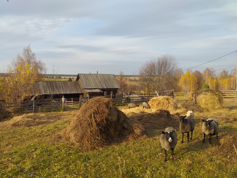 Фото экскурсии 6