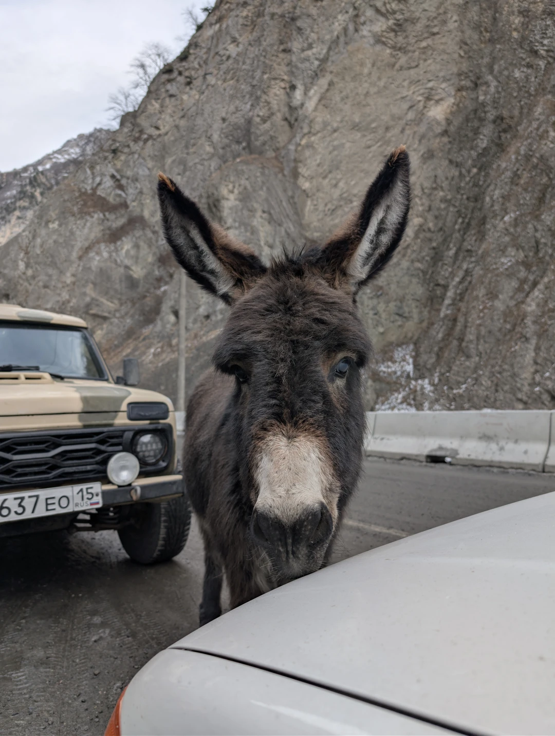 Понравилось. Все соответствует описанию, дорога комфортная, не слишком утомительная т. к. много остановок