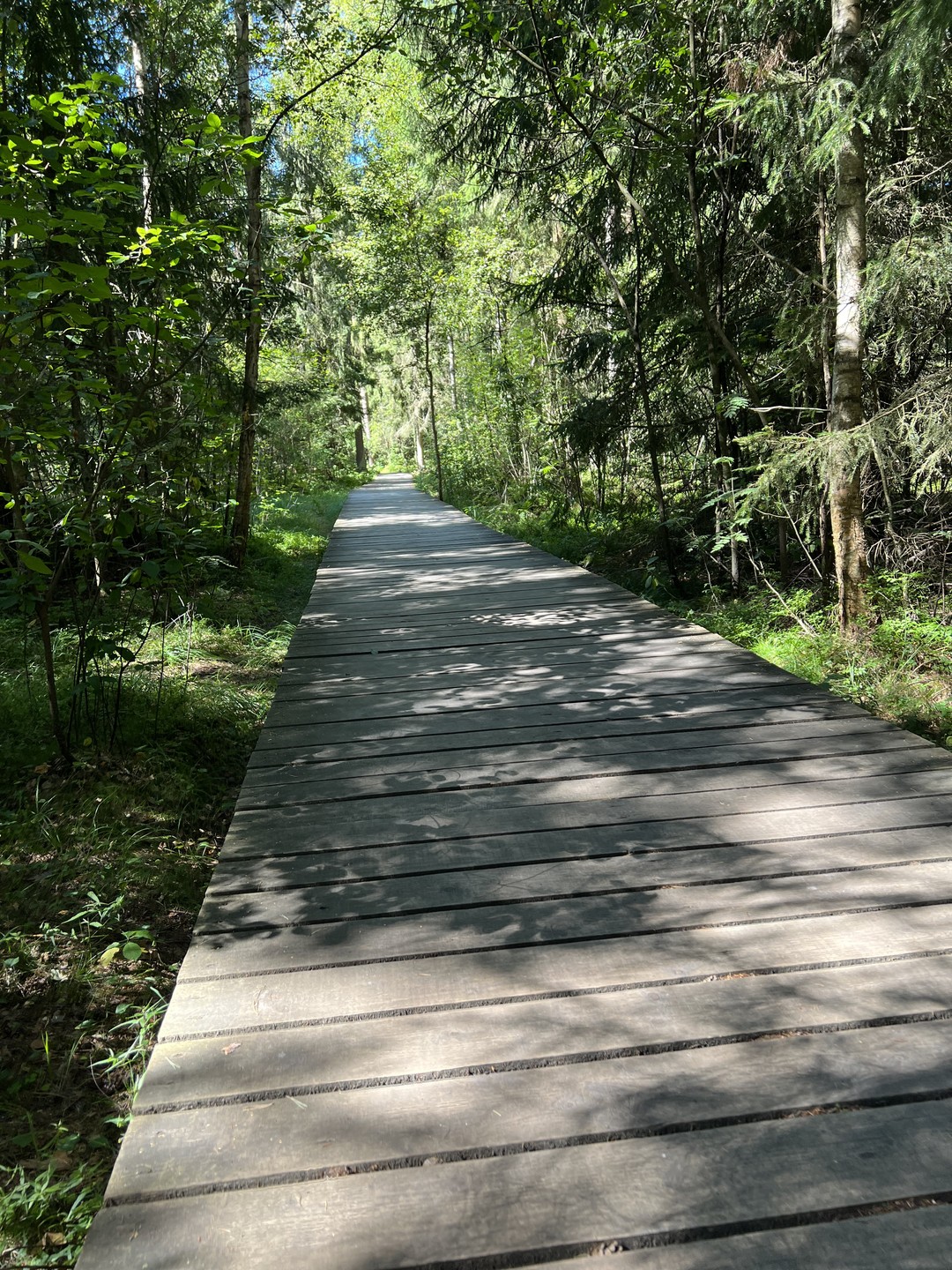 Куршская коса в вашем ритме (Анна)