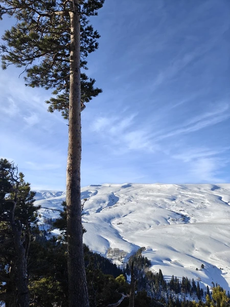 Восходящее солнце в феврале 🌅 поистине прекрасно