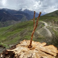Отзыв о экскурсии "Топовые места Кавказа: закат на Бермамыте, фантастические виды Джилы-Су и Чегемское ущелье" — фото 6