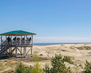 Куршская коса, Танцующий лес, Зеленоградск и обед из местной рыбы