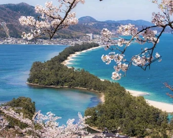 Свободный день и программа на выбор