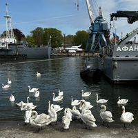 Фото отзыва 1: экскурсия "Балтийск и Балтийская коса: автобусная экскурсия"