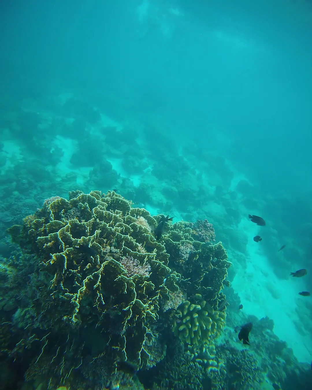 Хорошая водная экскурсия по окрестностям Боракая. Несколько остановок в море на поплавать с маской (выдают при