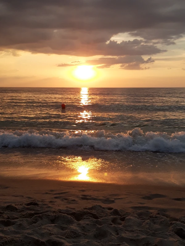 Три в одном: Куршская коса, Зеленоградск и замок Нессельбек