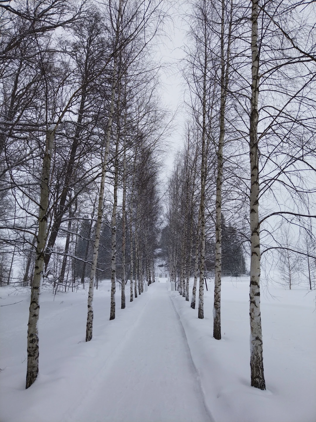 Знакомство с Выборгом: автобусный маршрут с аудиогидом (Ксения)