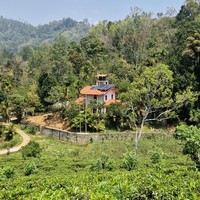 Фото отзыва 2: экскурсия "Древняя Сигирия: путешествие к истокам Цейлона из Унаватуны"