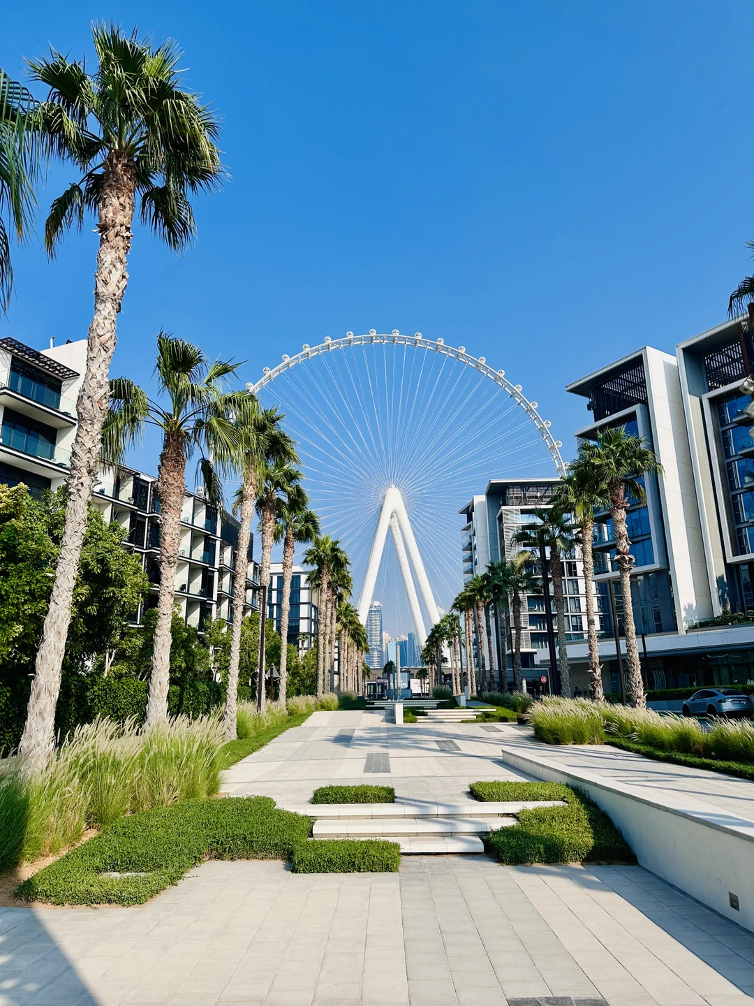 Великолепно построенная экскурсия. Не много, не мало, не напряжно, комфортно, интересно, все лучшие локации охвачены, на