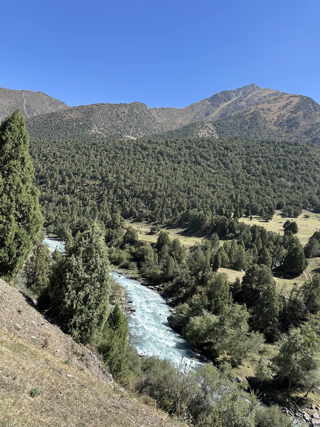 Из Бишкека - в Аламединское ущелье (Ольга)