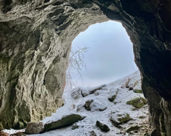 Отдых на природе