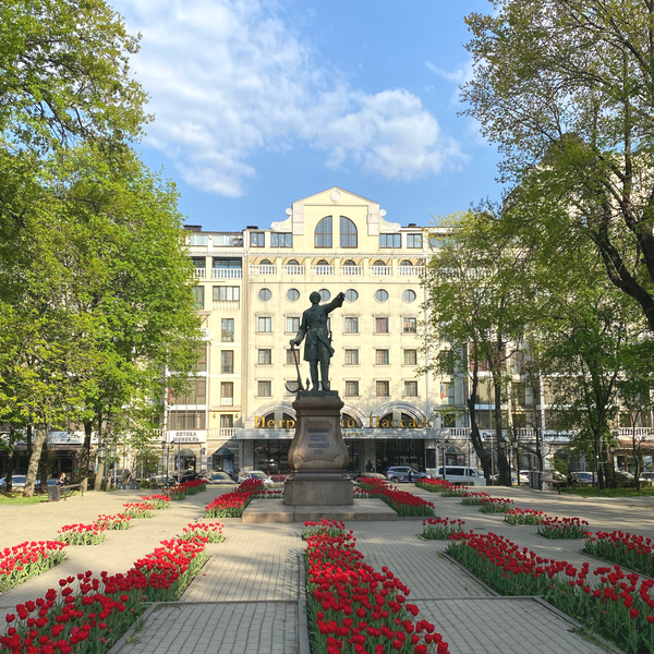 Весь Воронеж - в одном маршруте