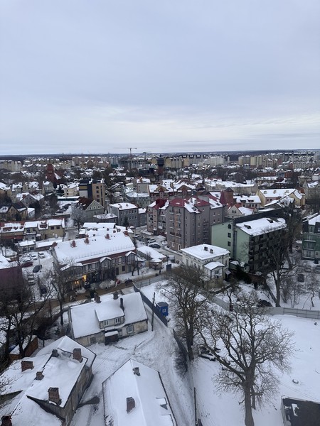 Была на экскурсии 22 февраля. К сожалению, Дмитрий заболел, и как альтернативу предложил, чтобы экскурсию провела