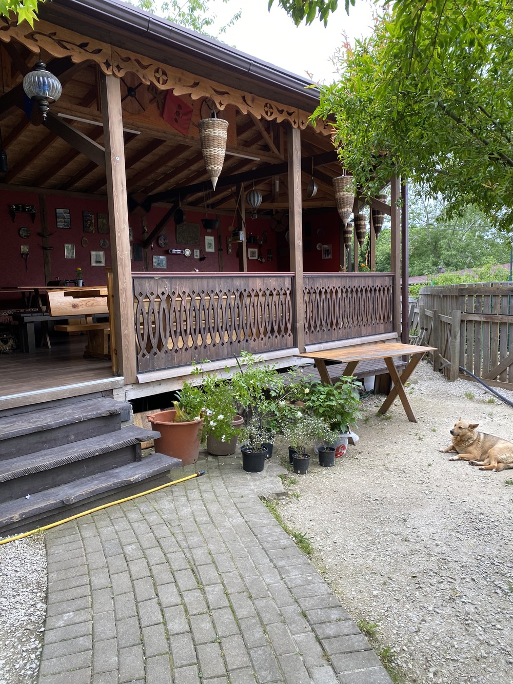 Удивительный Сочи: знакомство с городом (13/17)