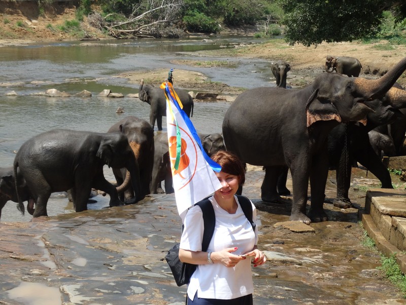 Фото отзыва 2: авторский тур "Такая разная Шри-Ланка: слоновий приют, джип-сафари и отдых на пляже с ребёнком"