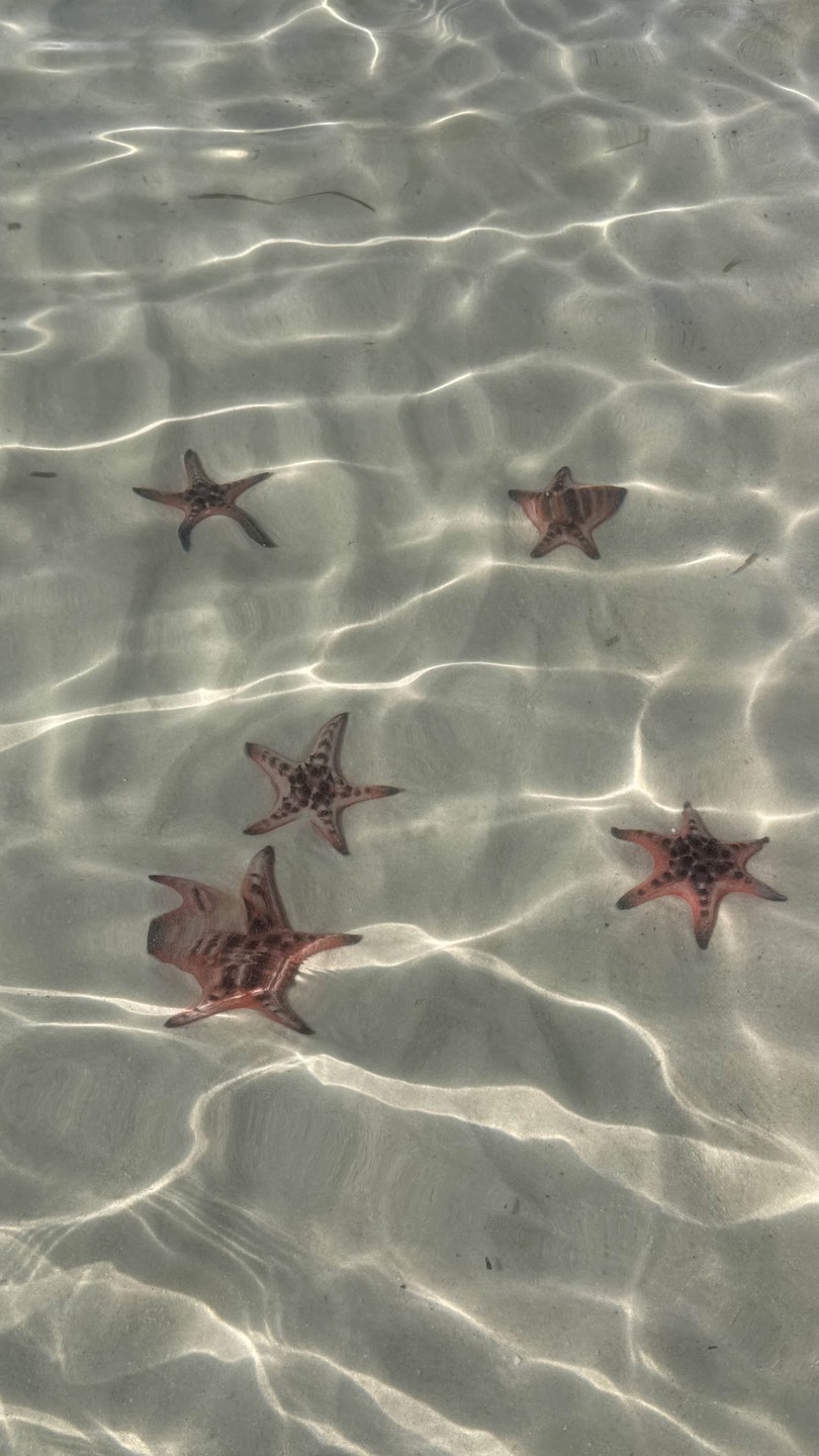 Сафари парк прекрасен. привезли к открытию - было комфортно. рыбацкая деревня - очень вкусный обед.