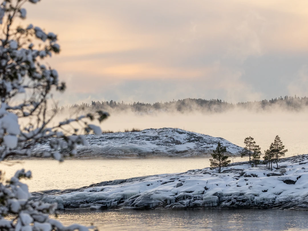 Это лучшее, что с нами произошло с начала нового года!!! Новые ощущения и эмоции, катались на