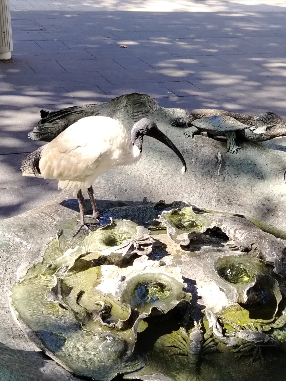 Это была замечательная обзорная экскурсия! Нас встретила экскурсовод Анна, очень доброжелательная девушка. Мы прошлись по знаковым