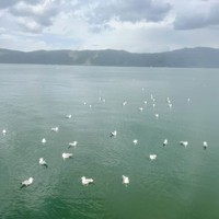 reviews img