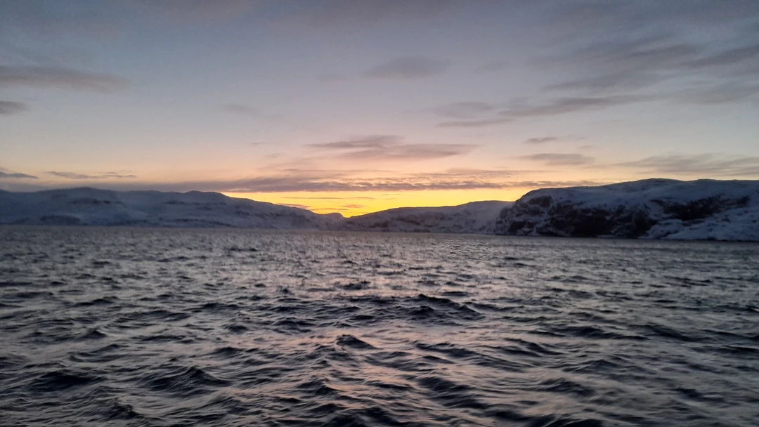 Киты, тюлени и невероятная Териберка (Ольга)