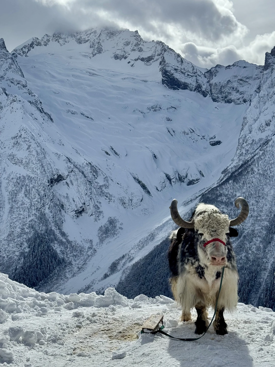 Прекрасная поездка с гидом Иваном, очень доброжелательный человек и интересный рассказчик, всегда готов помочь. Комфортное вождение,