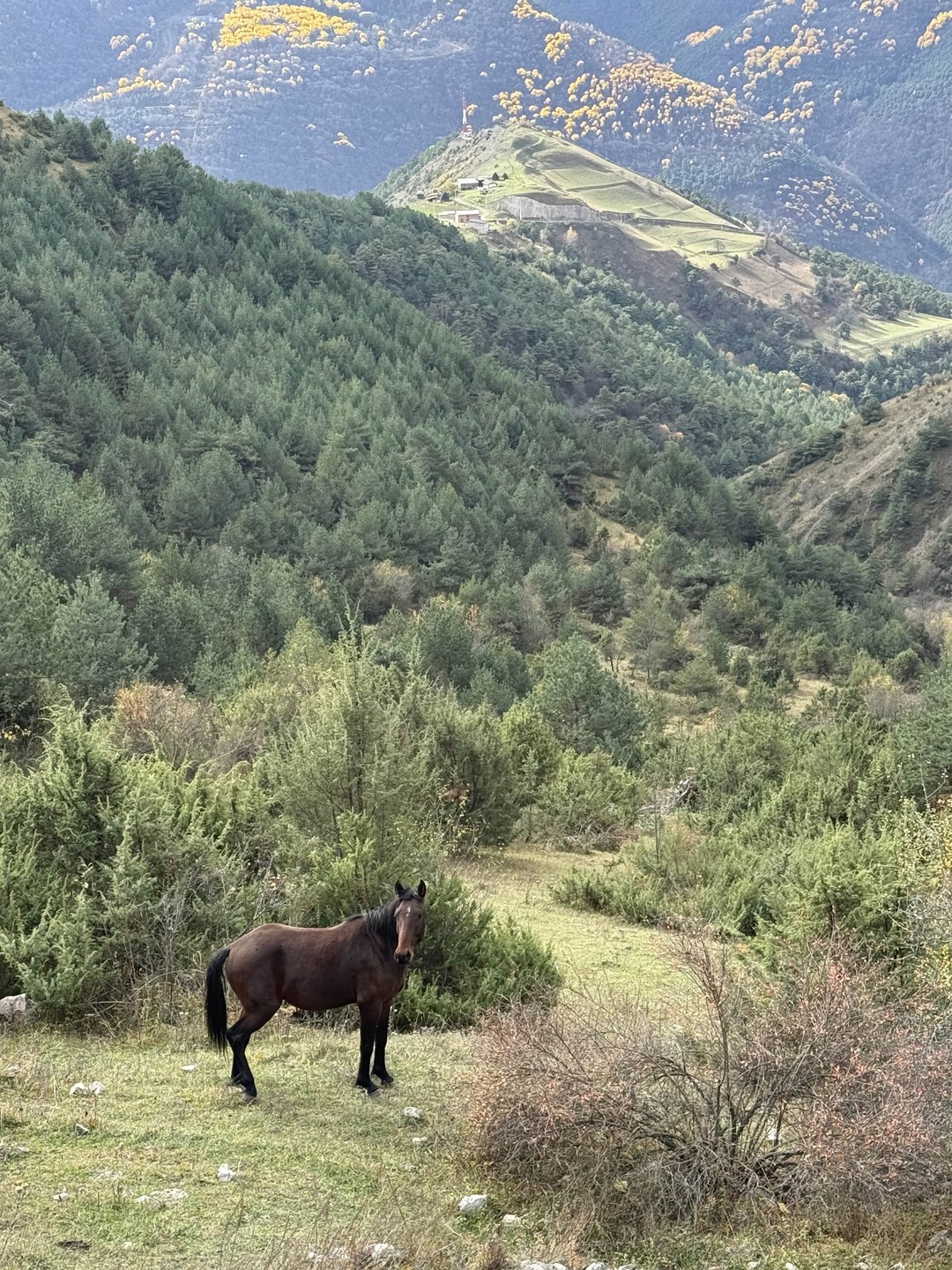 Это была очень душевная поездка. Ингушетия - невероятно красивый край с интересными традициями, узнали много нового