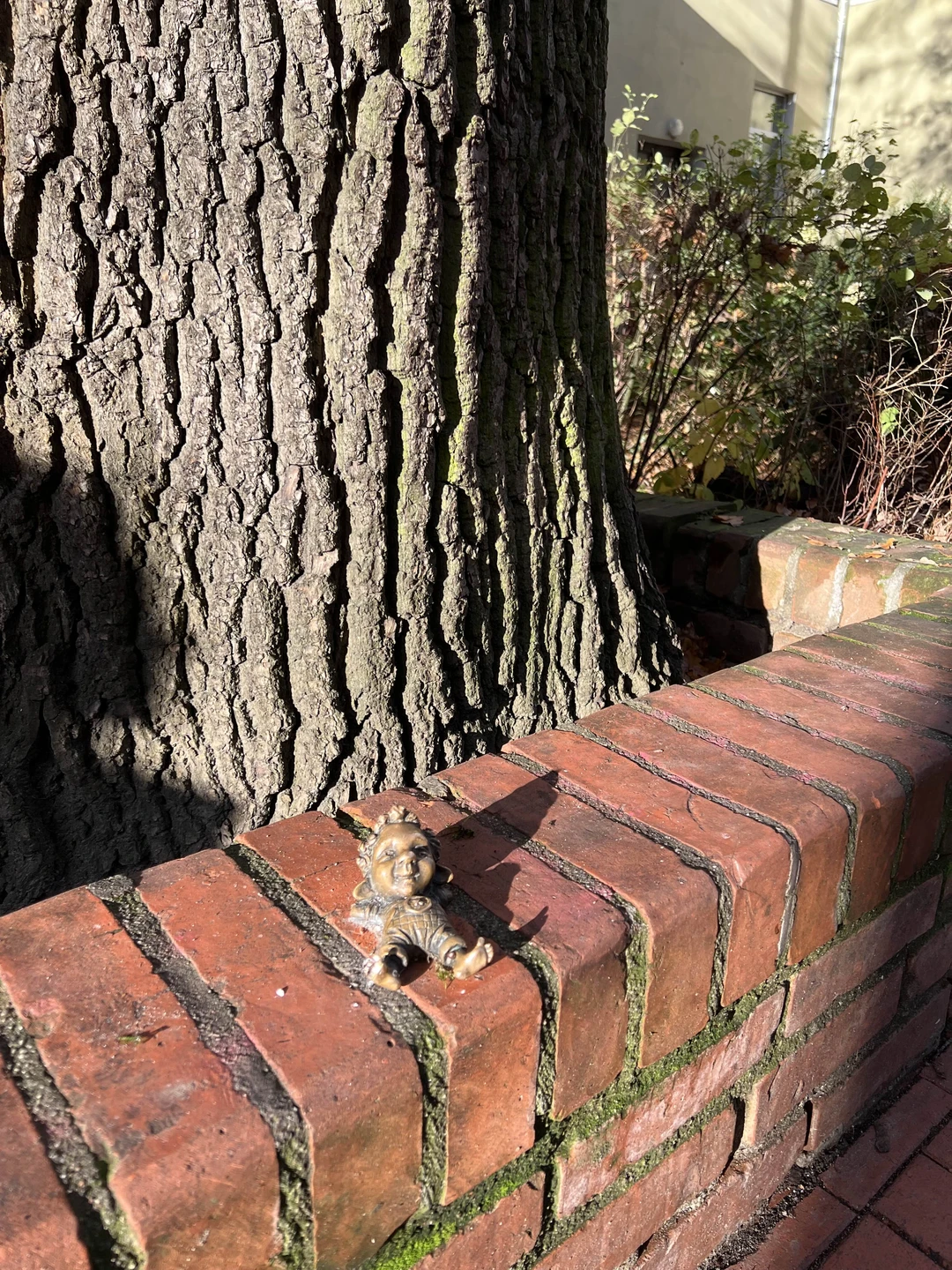 Огромная благодарность Виктории за наше комфортное и насыщенное путешествие по Калининграду. Она прекрасно разбирается в истории