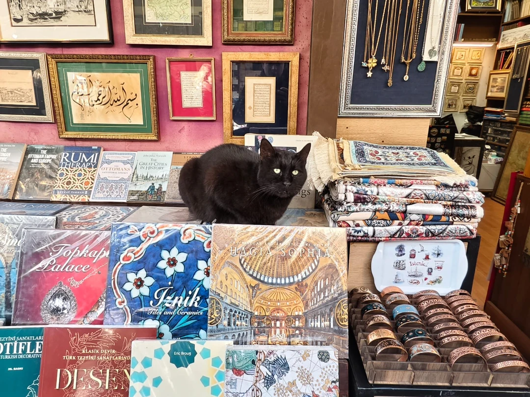 Считаю, что нам очень повезло с экскурсоводом Гюрканом. По экскурсии всё было доступно и полноценно. Гюркан