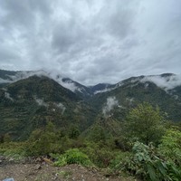 reviews img