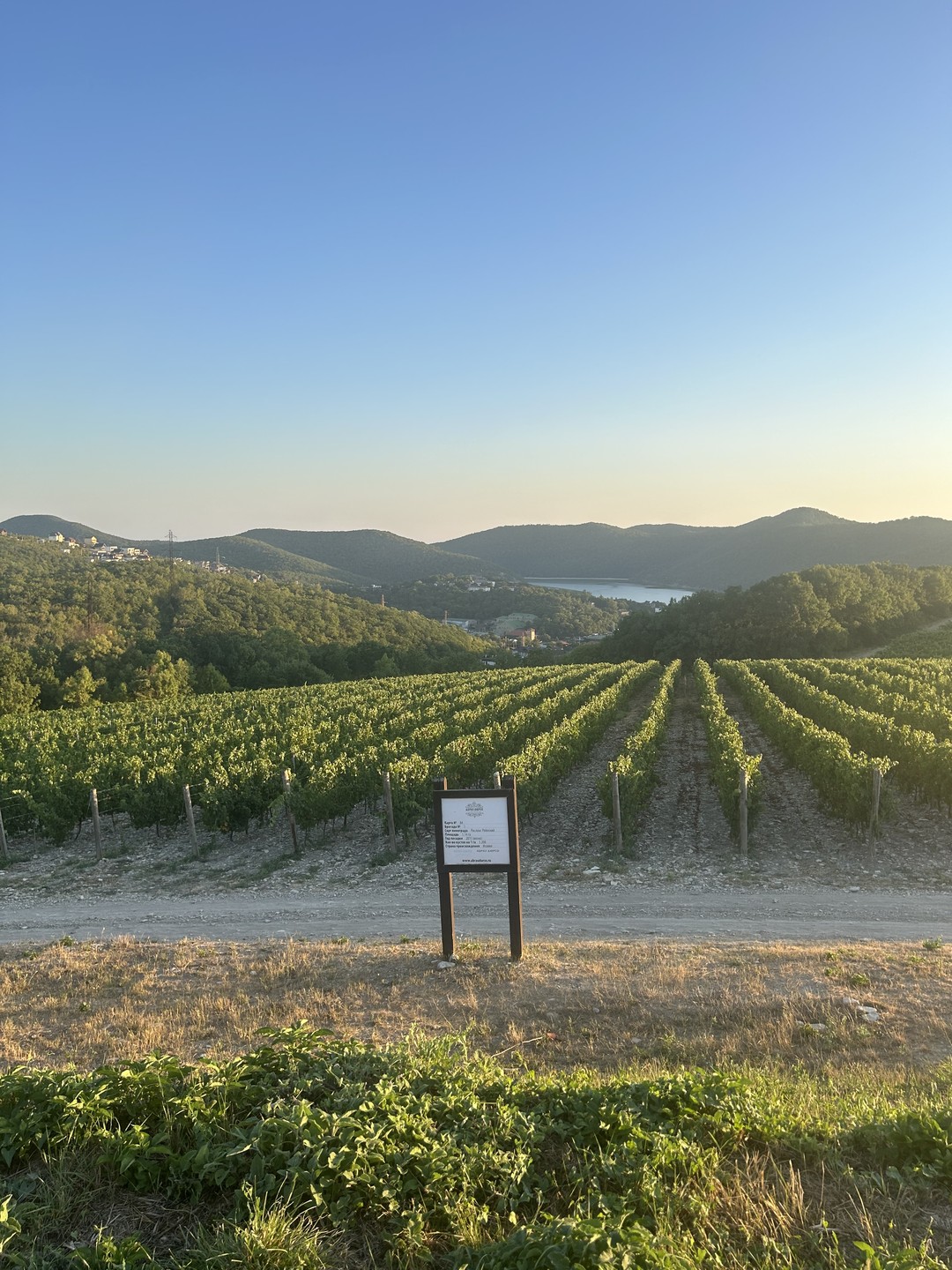 Абрау-Дюрсо, или Добро пожаловать в черноморскую Швейцарию (Дарья)