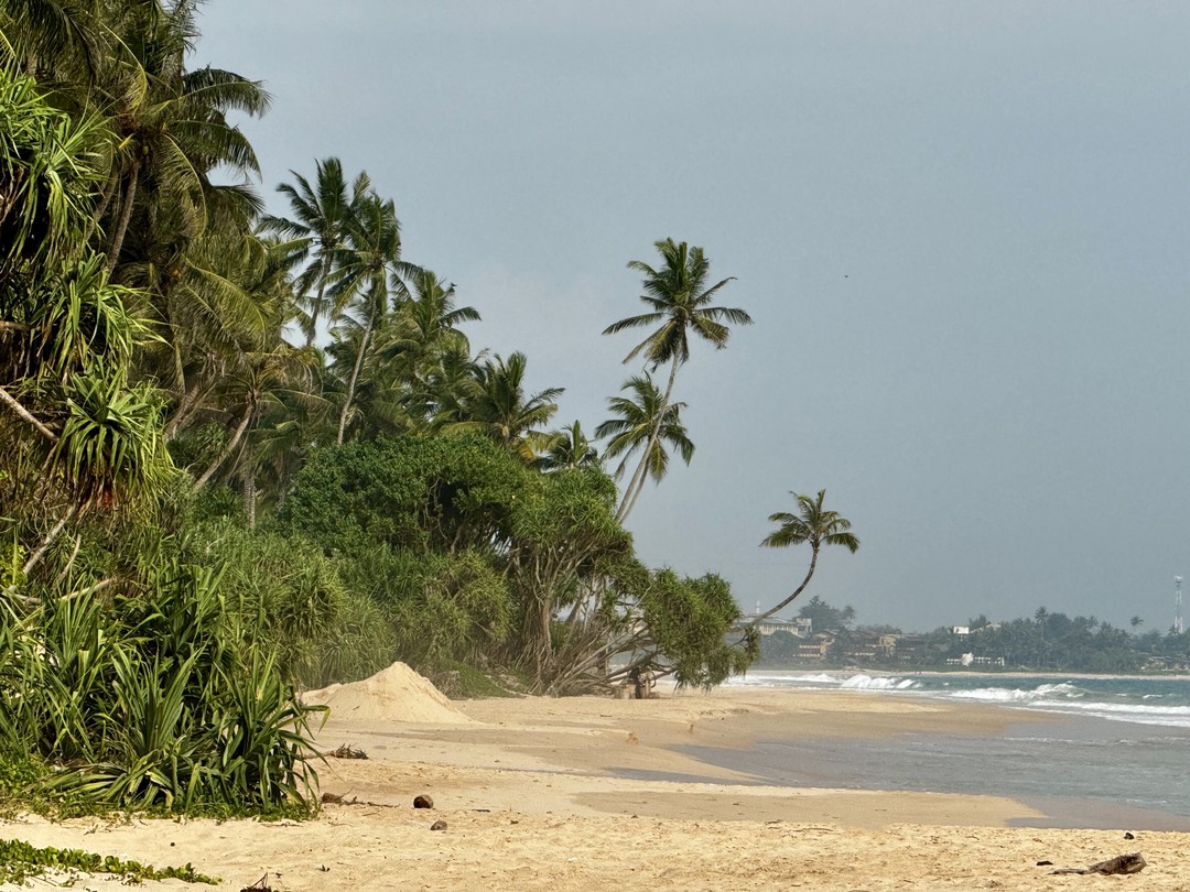 Отличная экскурсия от самой южной точки Шри-Ланки по красивейшим местам и пляжам. Спасибо организаторам и нашему