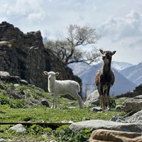 Фото отзыва 7: экскурсия "Главные красоты Осетии – за один день в мини-группе (из Кисловодска)"