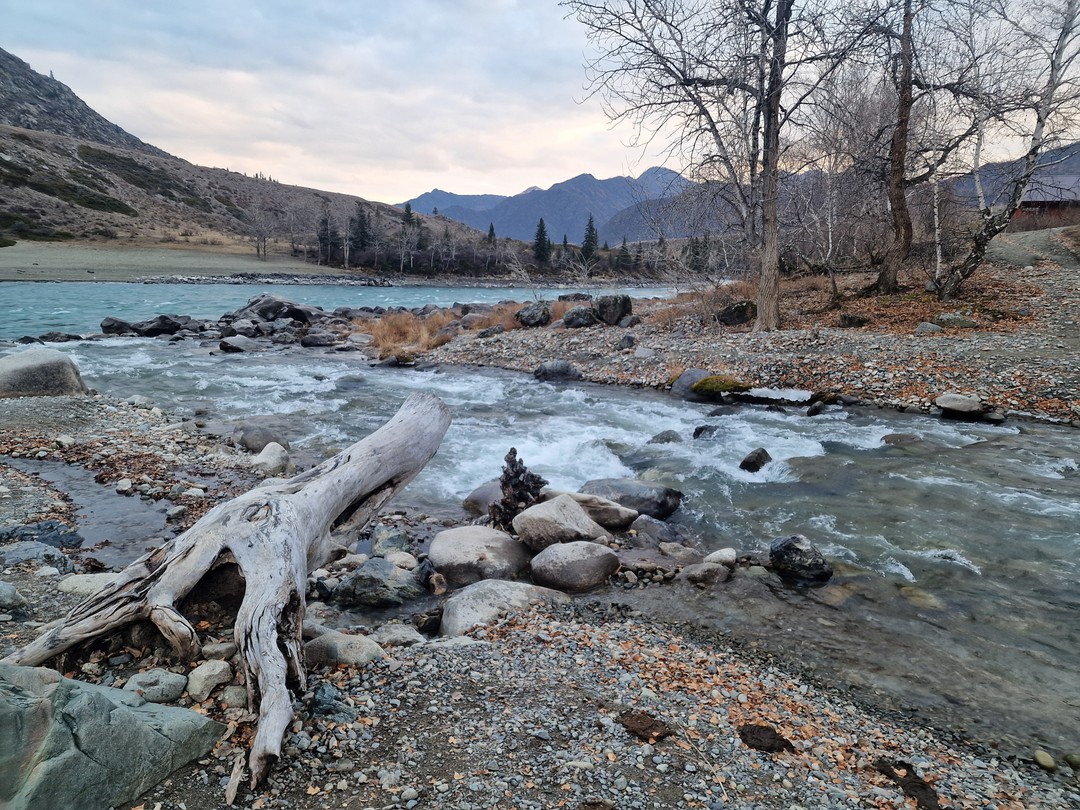 Осенний Алтай- вспоминаю, как будто побывали на другой планете. Для меня Чуйский тракт - это Катунь