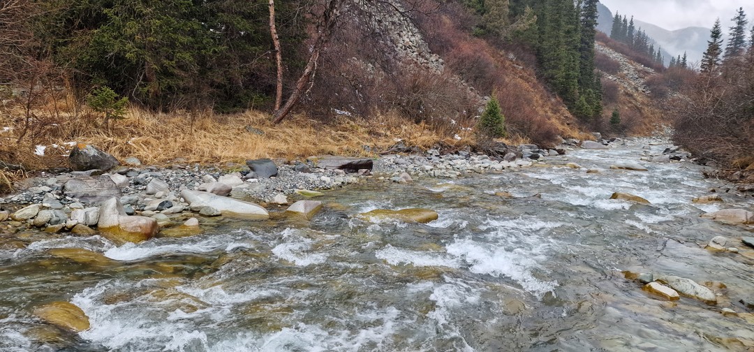 Однодневная экскурсия на озеро Иссык-Куль, которую провёл для нас гид Камчыбек, очень понравилась и взрослым и